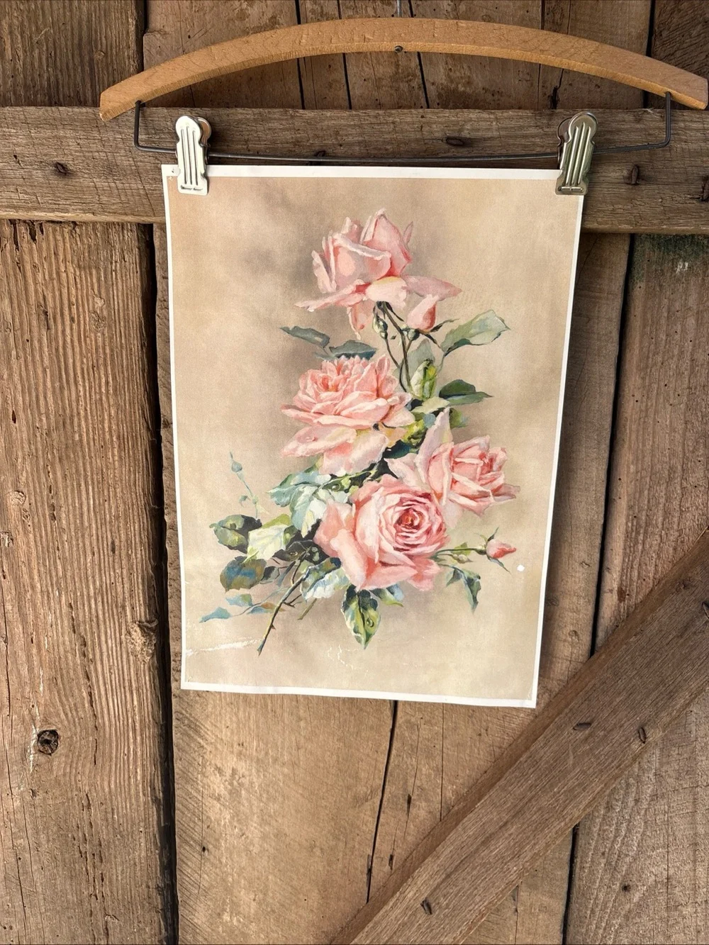 Victorian Rose Print Used !